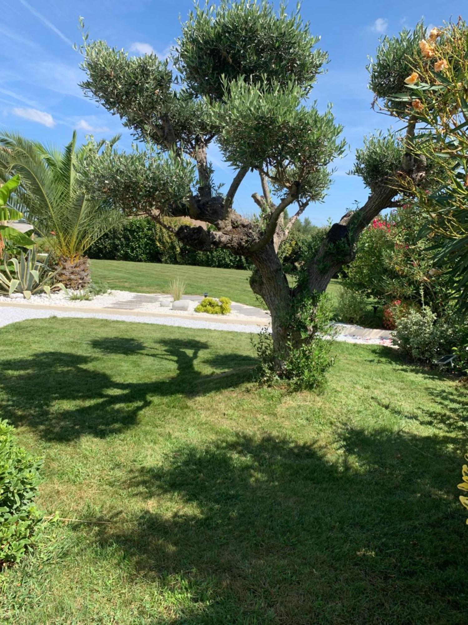 L Aparte D'Eliette En Pleine Nature A 10 Mn Du Meett, 15 Mn De L Aeroport Merville  Dış mekan fotoğraf